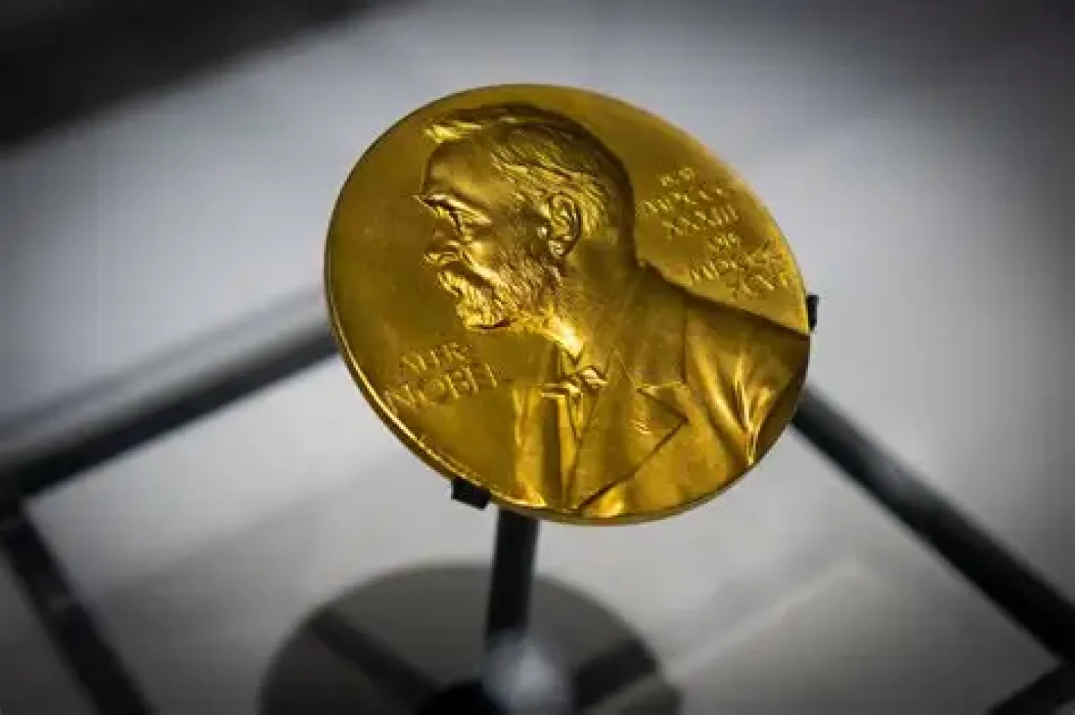 Médaille du prix Nobel illustrant une injustice historique